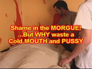 housewife (431 videos)